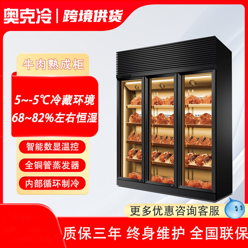 牛肉干式熟成柜和牛展示柜排酸柜牛排柜鲜切商用烤肉冷藏柜冷冻柜