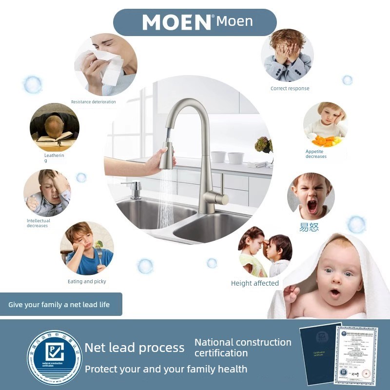 摩恩浴室冷热全铜水龙头拉出水槽蔬菜盆厨房盆旋转拉下厨房水龙头