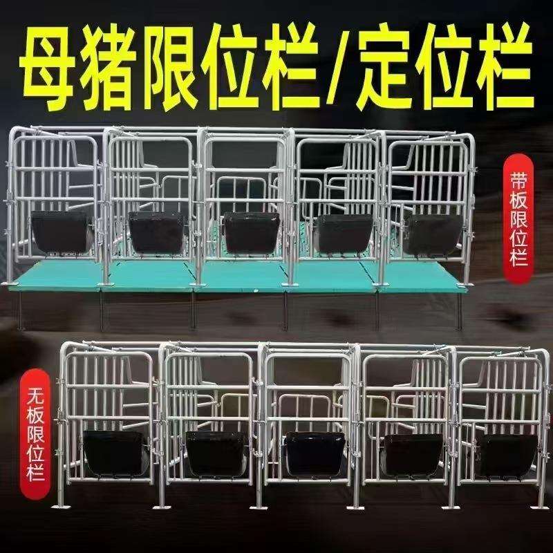 厂家直供母猪定位栏限位栏加厚2.5母猪产床仔猪保育床复合板定位