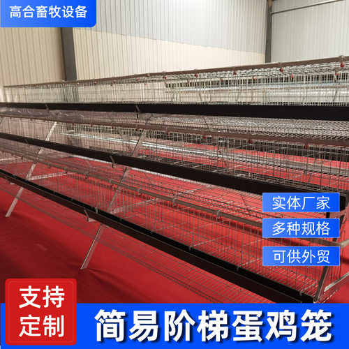 阶梯蛋鸡笼热镀锌蛋鸡笼三层五门蛋鸡笼白槽绿槽冷镀锌蛋鸡笼厂家