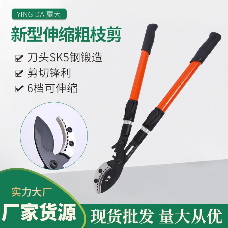 赢大新型伸缩粗枝剪大力剪园林园艺伸缩果树剪摘果剪园林工具