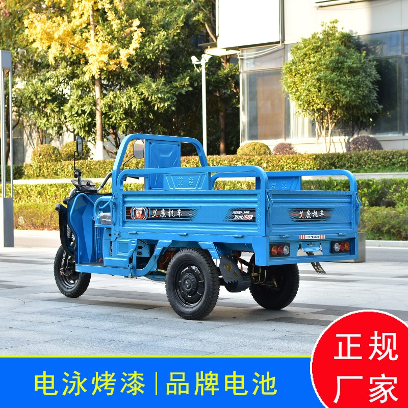 拉货新款电动三轮车60v72v载重王家用电瓶三轮车大功率快递车农用