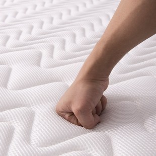 椰棕床垫透气舒适家用卧室学生宿舍钢丝圆弹簧工厂直供乳胶床垫子