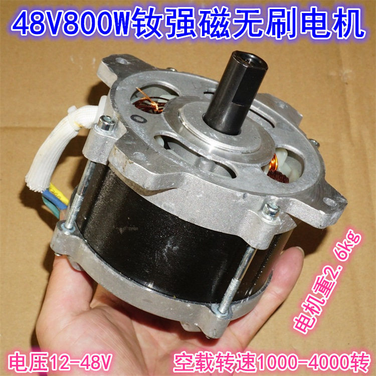 48V钕强磁800W大扭矩无刷电机