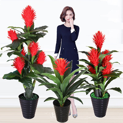 仿真植物鸿运当头假花塑料花盆栽