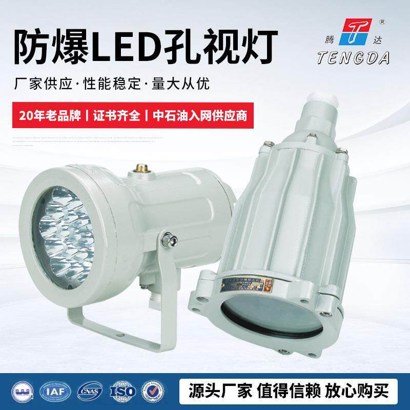 LED防爆视孔灯5w10w15W反应釜防爆视镜灯12V24V36220V