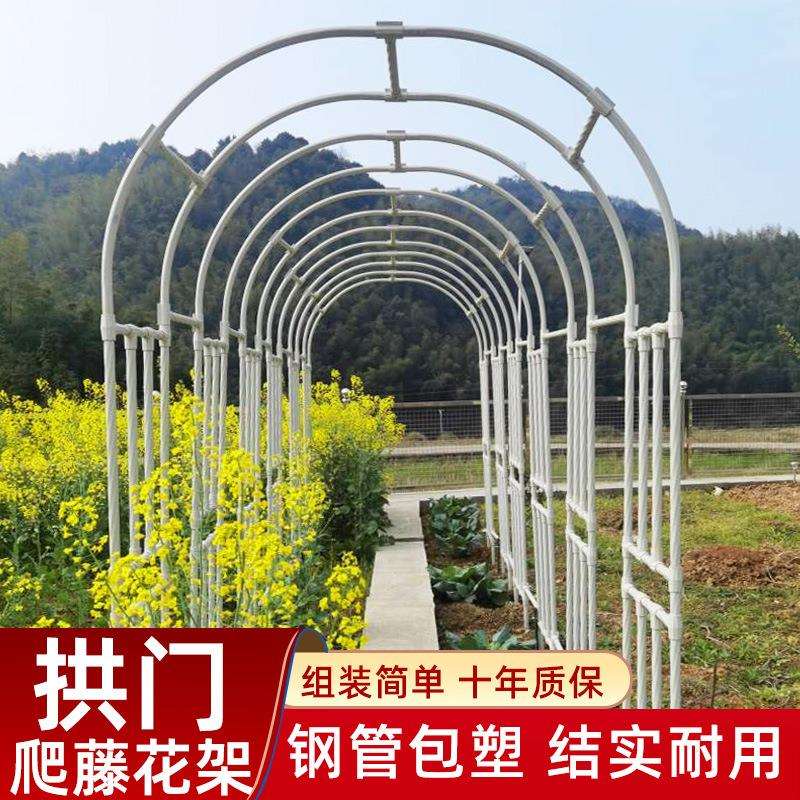 拱门爬藤架园艺花架藤本月季葡萄架拱形架子支撑藤架攀爬支架