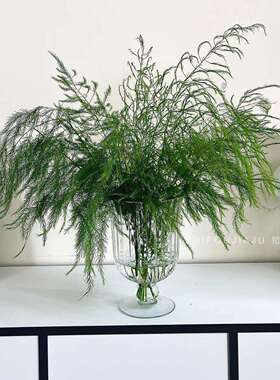 花瓶玻璃透明创意高脚花器 餐桌插花大口水培鲜花居家广口瓶