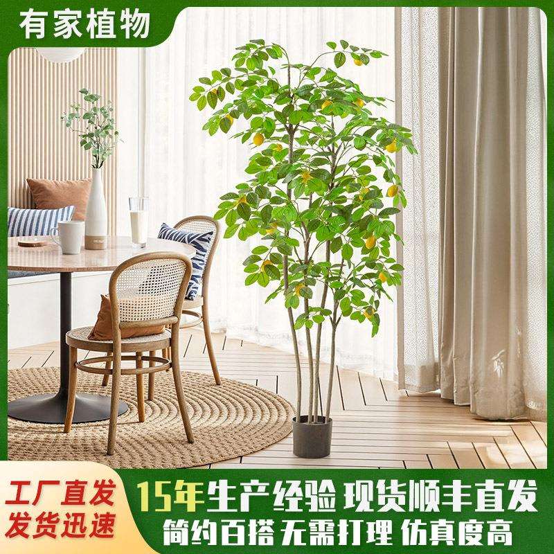 仿真绿植柠檬树盆栽室内客厅装饰盆景假树仿真树室内绿植摆件