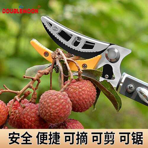 剪树枝专用园艺剪伸缩高枝剪修枝剪摘果剪龙眼高空剪摘果器