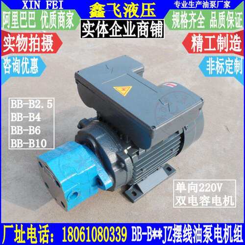 BB-BN2.5JZ BN4JZ BN6JZ BN10JZ摆线齿轮油泵电机组220V YCY7144