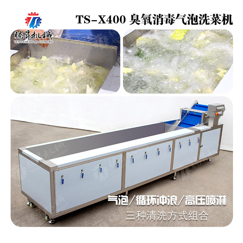 工厂直销 果蔬气泡清洗机李子辣椒蓝莓大枣多功能商用杀菌洗菜机