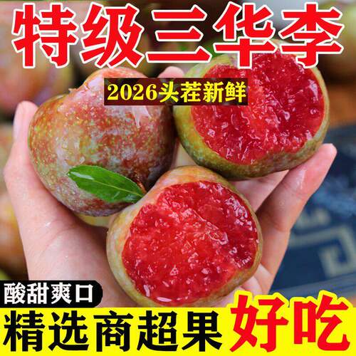 广东三华李新鲜水果脆爽多汁李子5斤装现摘现发农家自种脆嫩整箱