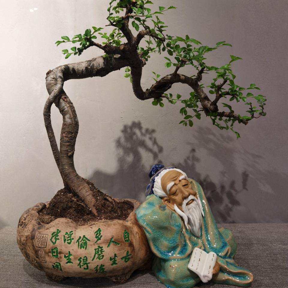 新款李白醉酒手工盆景造型特色花盆老子达摩石湾陶瓷家居书台摆设