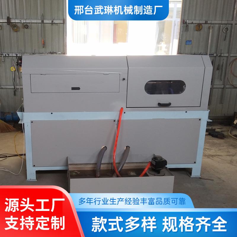 八头多头自动线材抛光机圆丝扁丝方丝椭圆丝金属线材钛丝弹簧抛光