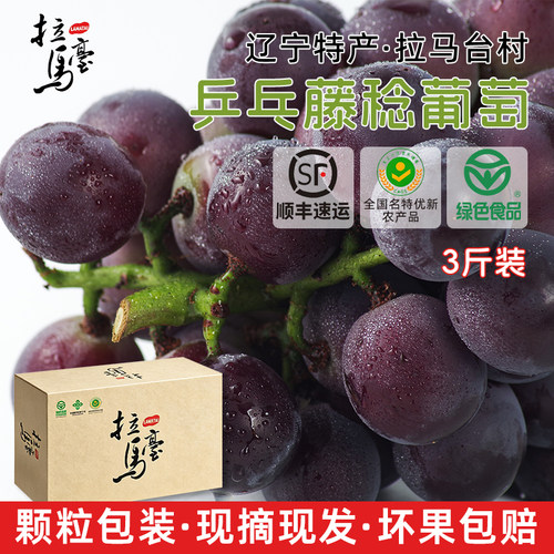 拉马台村当季藤稔葡萄顺丰包邮