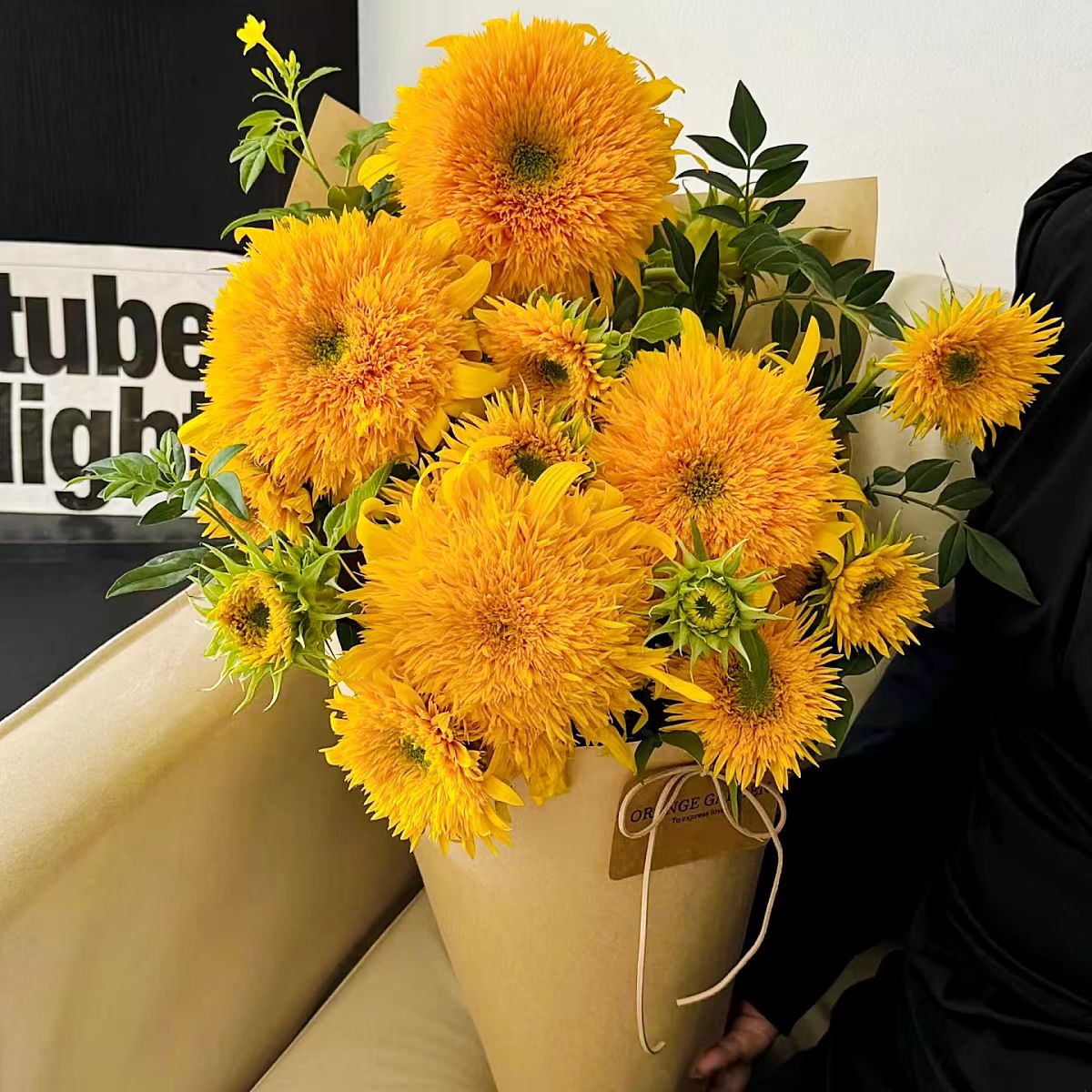 【泰迪向日葵3支】一单包邮两单升级快递