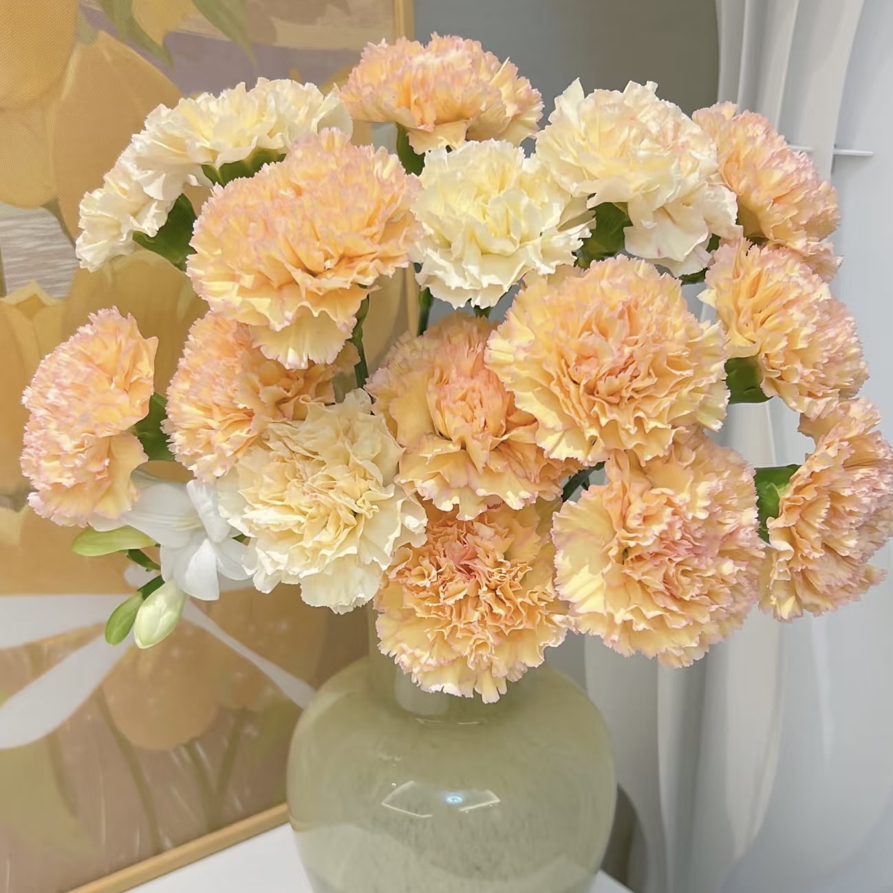 双11提前购【可可西里康乃馨20支】一单包邮两单升级快递