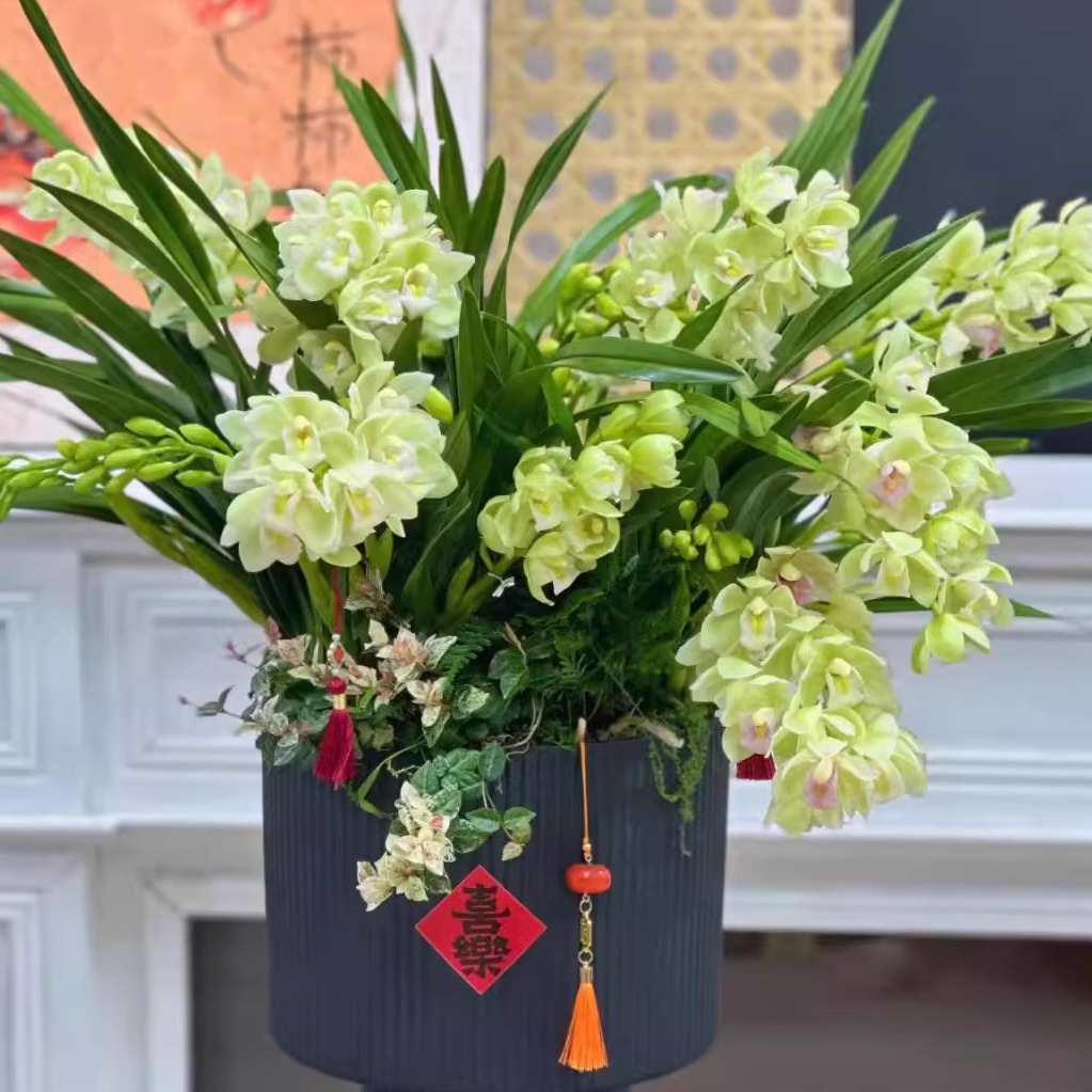 【香兰7支花剑以上】一单包邮不和鲜花拼单！