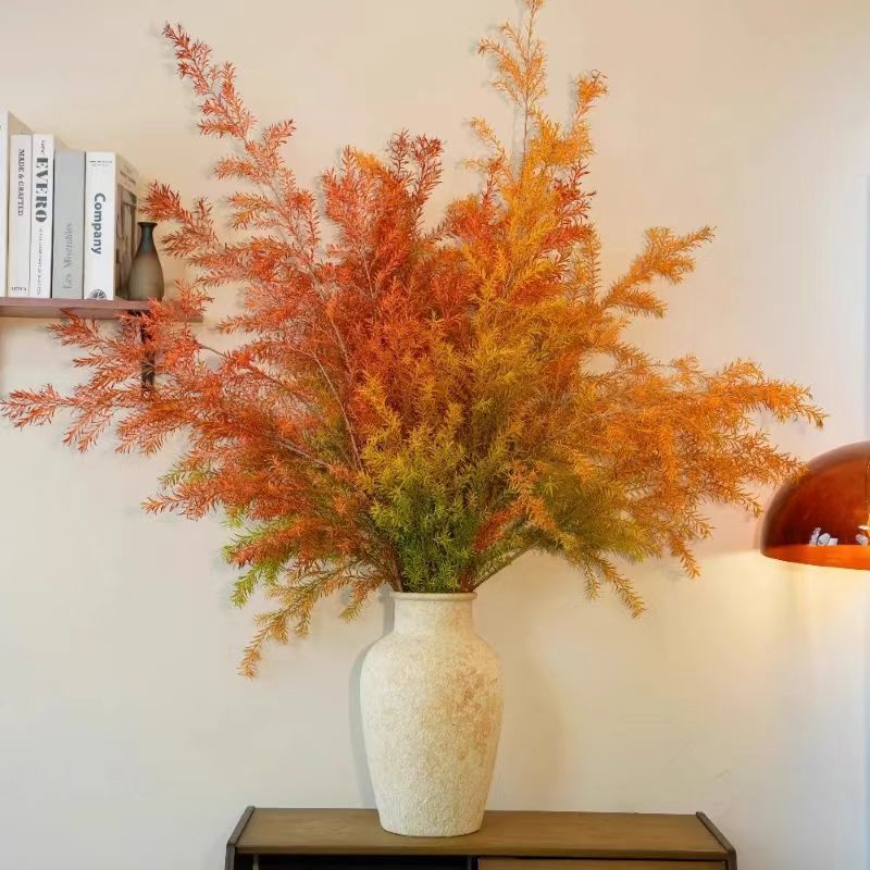 【千层金福利】一单包邮不和鲜花拼单