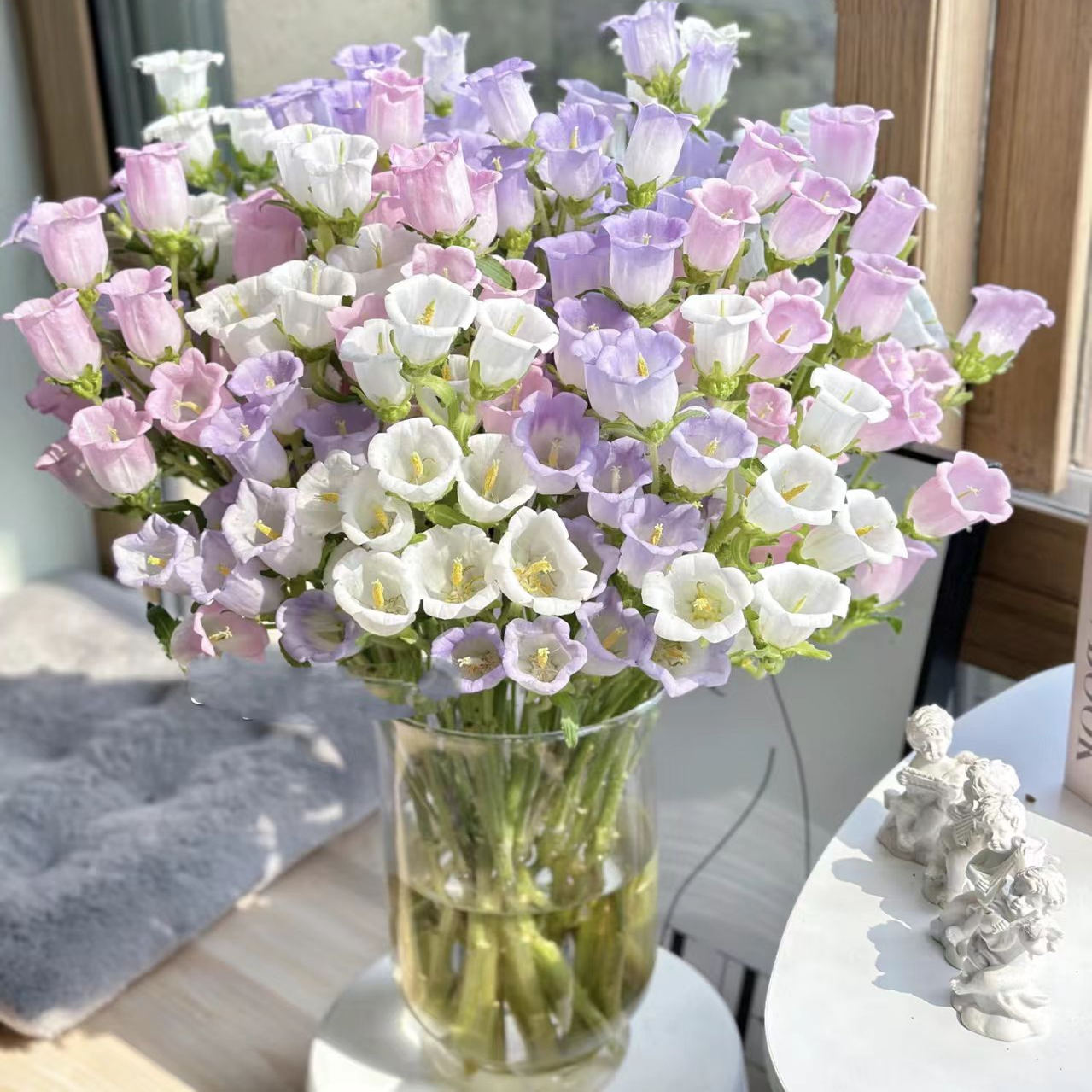 【风铃福利】一单包邮两单升级快递