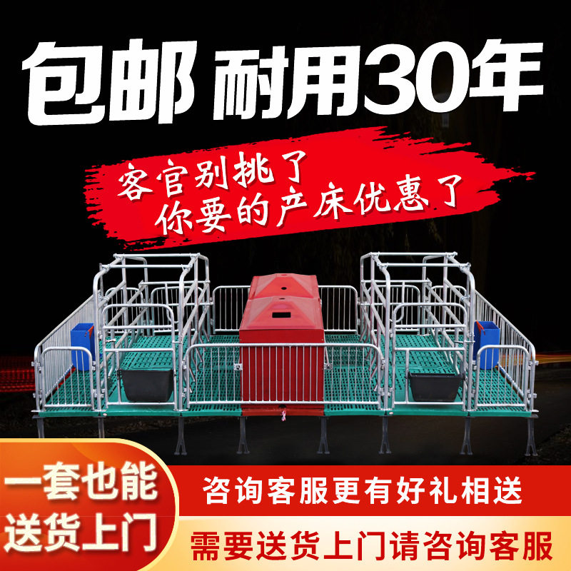 老母猪双体保育定位限位产床