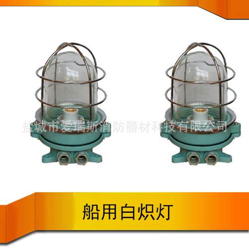 船用白炽灯 作业灯防水灯具 应急照明灯走道灯DS7-4M