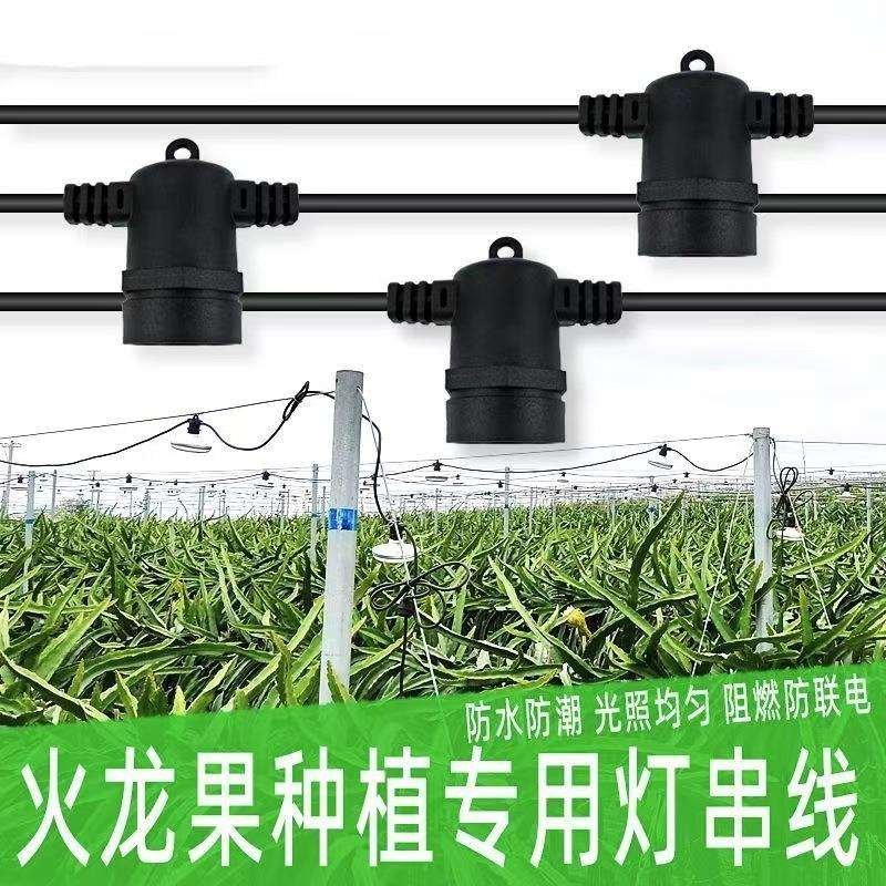 户外装饰灯串植物大棚火龙果补光灯E27灯串线灯串灯植物生长灯