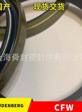 CFW-SIMRIT外骨架油封B1FUD20*28*6  DIN3761B/BS材质72NBR902