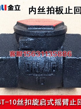 H14T-10内螺纹旋启止回阀 丝扣摇臂拍板单向阀IDN25 32 40 50 65