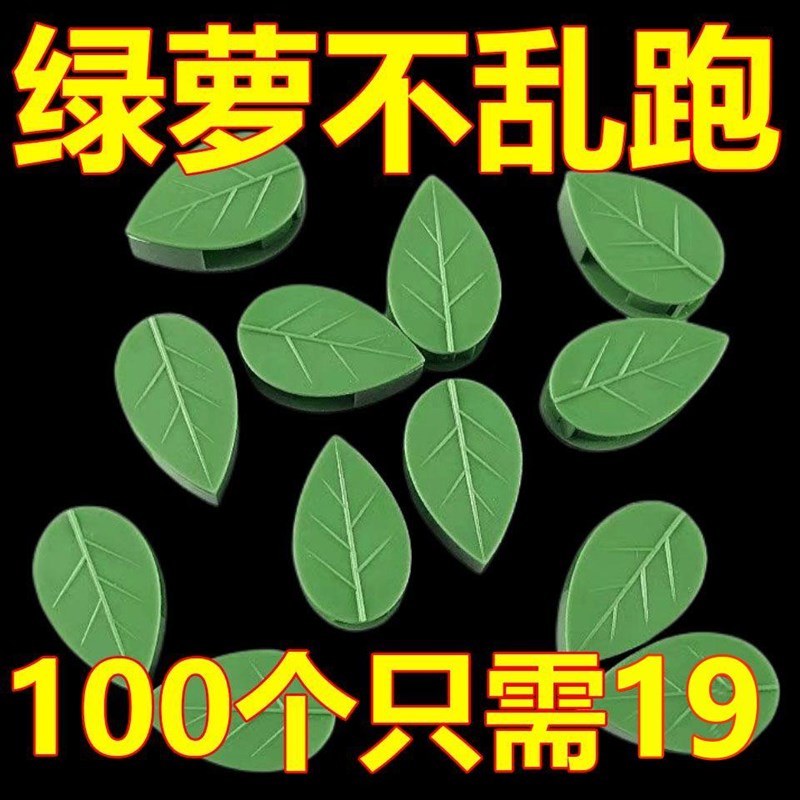 室内无痕绿萝爬藤固定器免钉卡扣自粘式挂钩墙上客V厅藤蔓攀爬神