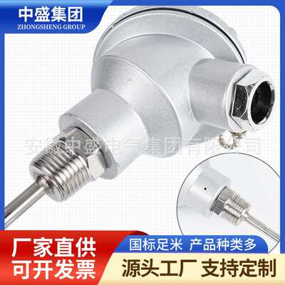 铠装热电阻WZPK2-740NM L=1650mm法兰160φ20PT100钨钴合金长1.6m