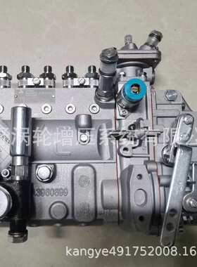 道依茨喷油泵1001620056 B6AD548G11-R和13033098 B6AD506A6机械