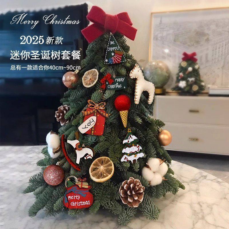 ぃ圣诞树2025新款圣诞节装饰带灯桌面摆件家用ins风迷你圣诞树套,节庆用品/礼品,圣诞装饰品,淘宝优惠券,粉丝福利购,淘宝优惠卷