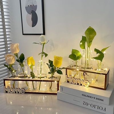 创意绿萝水培植物玻璃花瓶插花器办公室桌面装饰水养容器摆件