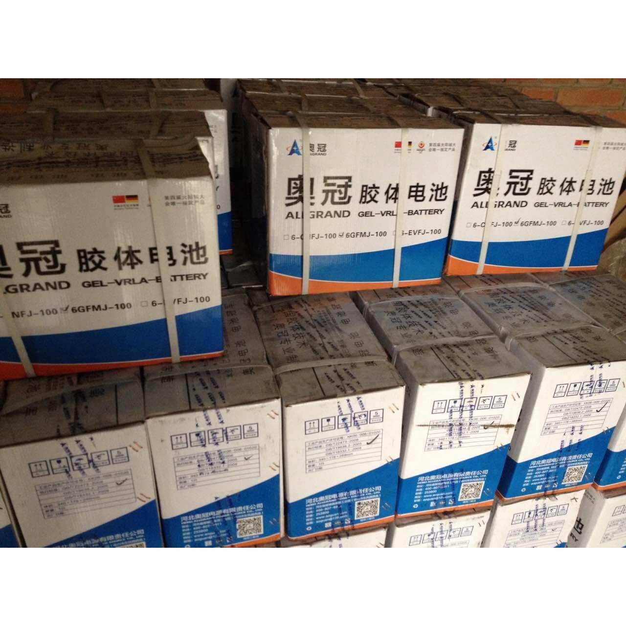 奥冠蓄电池6-EVFJ-100 12V100AH电动汽车太阳能专用胶体蓄电池
