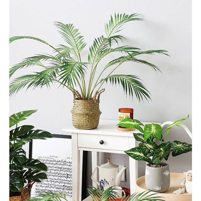 北欧仿真绿植散尾葵假植物摆件客厅桌面摆设装饰小盆栽,家居饰品,仿真植物盆景,淘宝优惠券,粉丝福利购,淘宝优惠卷