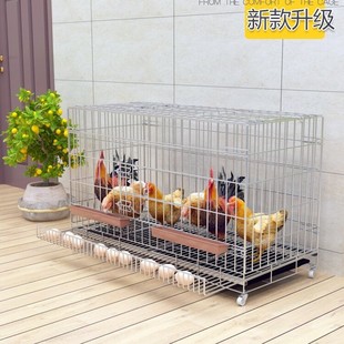 鸡笼子家用养鸡笼大号特大号自动清粪折叠养殖笼鸡舍铁丝网鸭鹅笼
