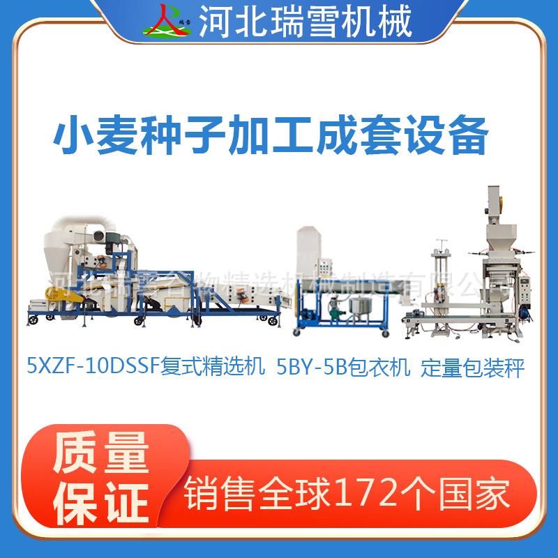 全自动小麦种子加工成套设备大型精选双比重包衣包装组合机