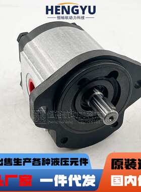 罗茨液压泵RONZIO齿轮泵05ZAG 01ZAG 02ZAG泵 02ZCG 03ZAG35油泵