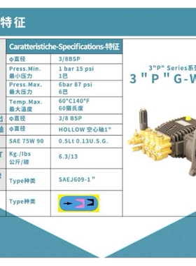3PG4040-W意大利博托里尼贝托里尼BERTOLINI高压柱塞水泵