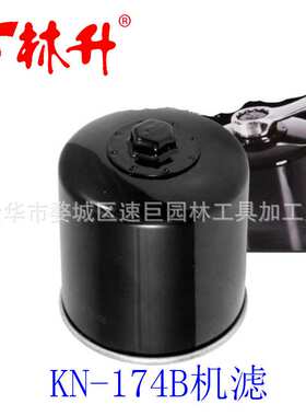 林升供应油泵适用2520227, 3085275, 3084692, 3088070, 2521135