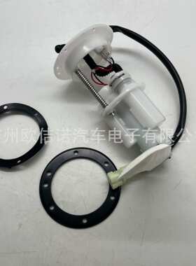 跨境CFMOTO 450 500 600CCATV燃油泵总成901F-150900,901F150900