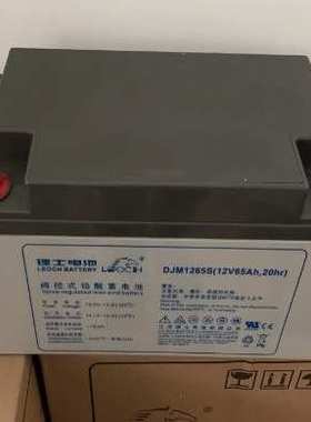 理士蓄电池DJM1265S 理士铅酸电池12V65AH 机房UPS监控服务器专用