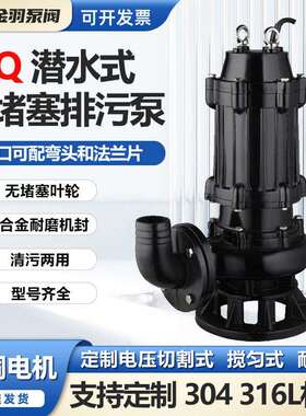 500WQ2000-10-90移动式无堵塞潜水排污泵QW500-2000-10-90循环泵
