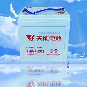 天能电池6V203电瓶奉化慈溪象山观光车3EVF-203保洁车洗地机电池