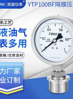 隔膜压力表YTP100BF/ML M42*2螺纹连接1寸平膜式耐腐蚀高温防堵型