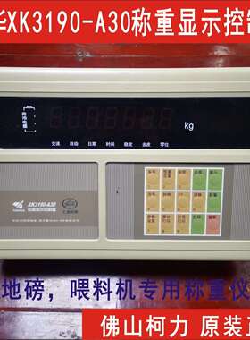 耀华XK3190-A30地磅仪表，高精度地磅表头，称重显示控制器！