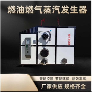 100公斤节能环保生物质蒸汽发生器 竹木制品定型烘干蒸汽锅炉