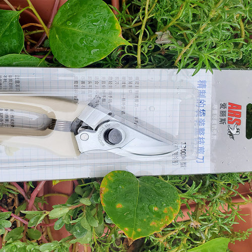 爱丽丝园艺修枝剪花枝剪爱丽思剪刀庭院130DX整枝剪V8优质枝叶剪